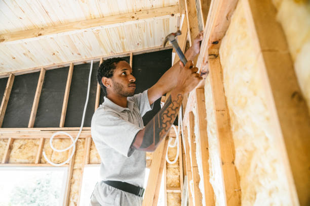 Best Insulation Replacement Services  in Nolanville, TX